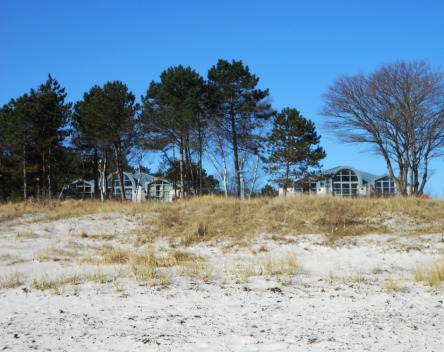 Urlaub mit Hund am Hundestrand