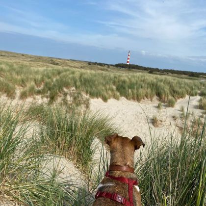 Ferienwohnung mit Hund