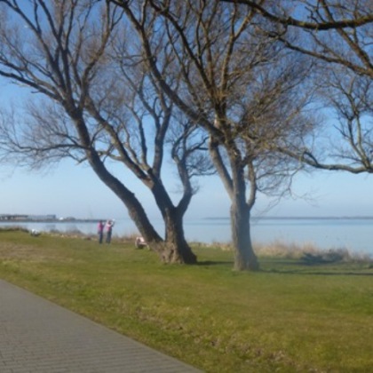 Der Wieker Bodden für Surfer und Angler