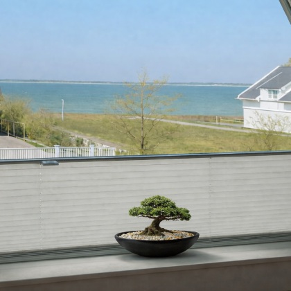 hundefreundliche Ferienwohnung