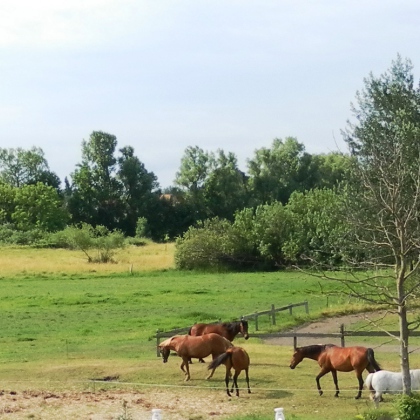 strandnahe Ferienwohnung