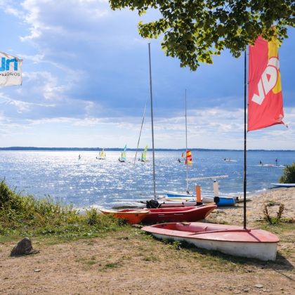 Urlaub mit Hund Rügen