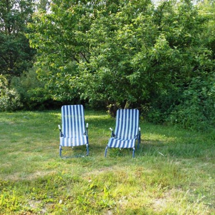 Urlaub mit Hund Rügen