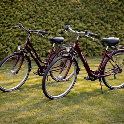 Urlaub mit Hund Rügen