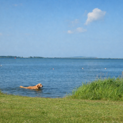 Surfen am Wieker Bodden, Boddengewässer für Angler.