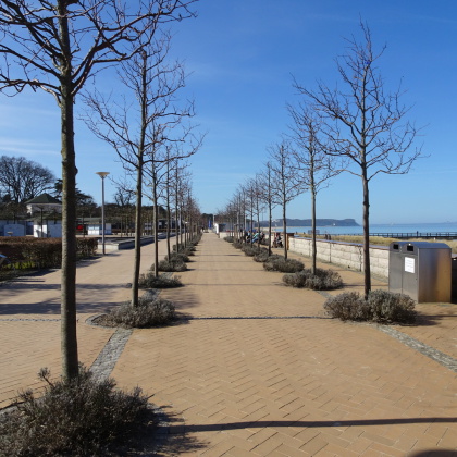 Hundestrand 