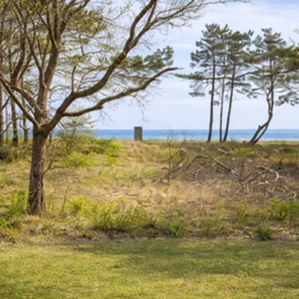 Meerblick Appartement mit Hund
